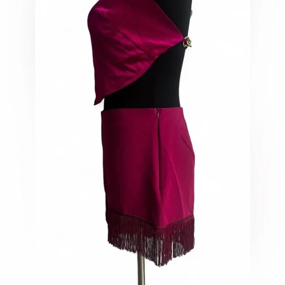 Sincerely Jules high-rise pink fringe shorts - Picture 2 of 6